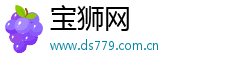 宝狮网